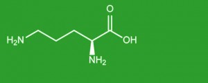 L-Ornithine