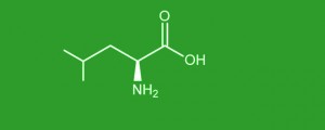 L-Leucine